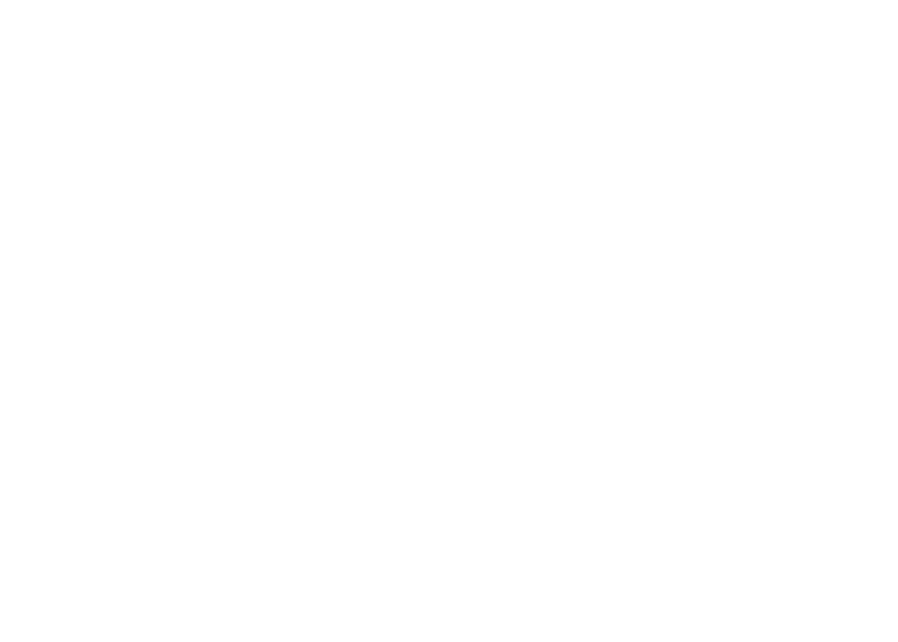 Ulgen Holdings logo, white